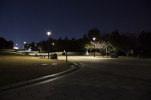 深夜の葛西臨海公園